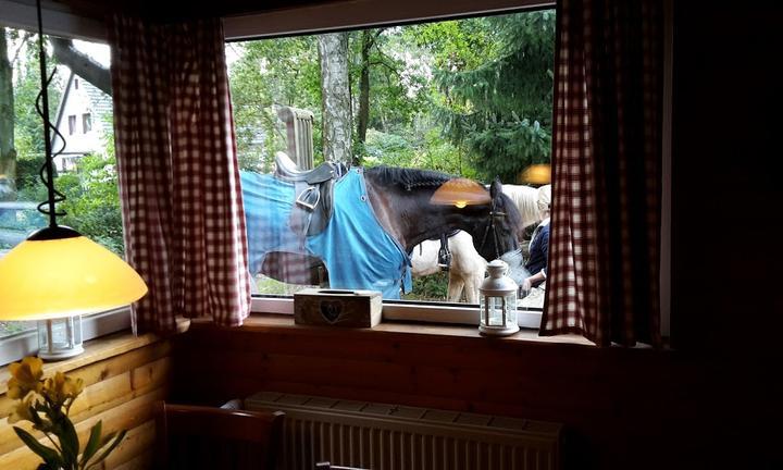 Kleine Waldschänke am Wildgehege